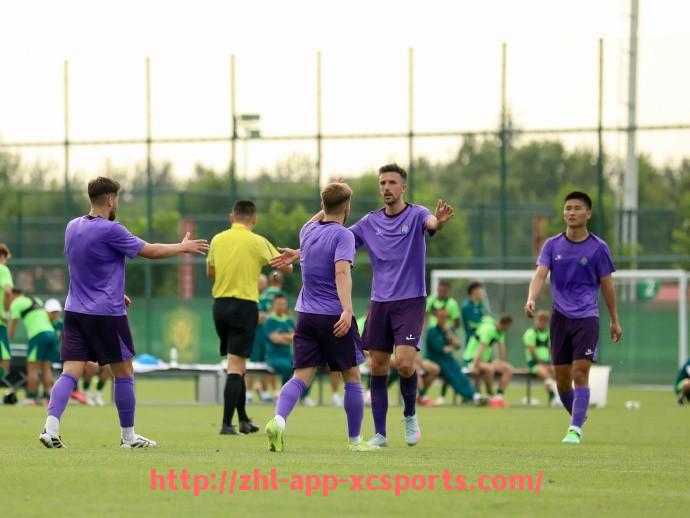 杏彩体育-西甲意甲联赛直播平台对比及观赛推荐