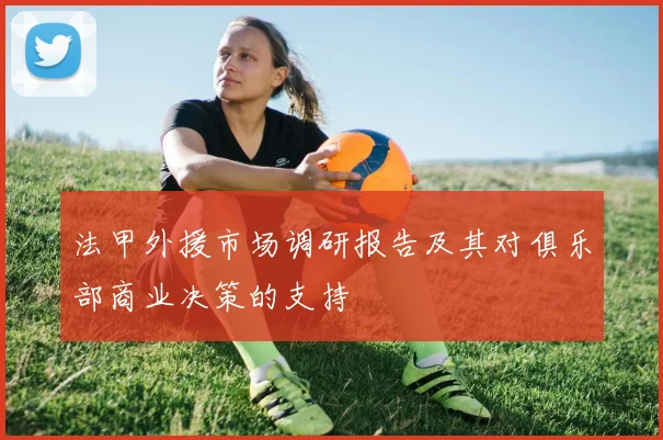 法甲外援市场调研报告及其对俱乐部商业决策的支持