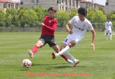 杏彩体育-英超球员英语学习及语言能力对职业发展的影响