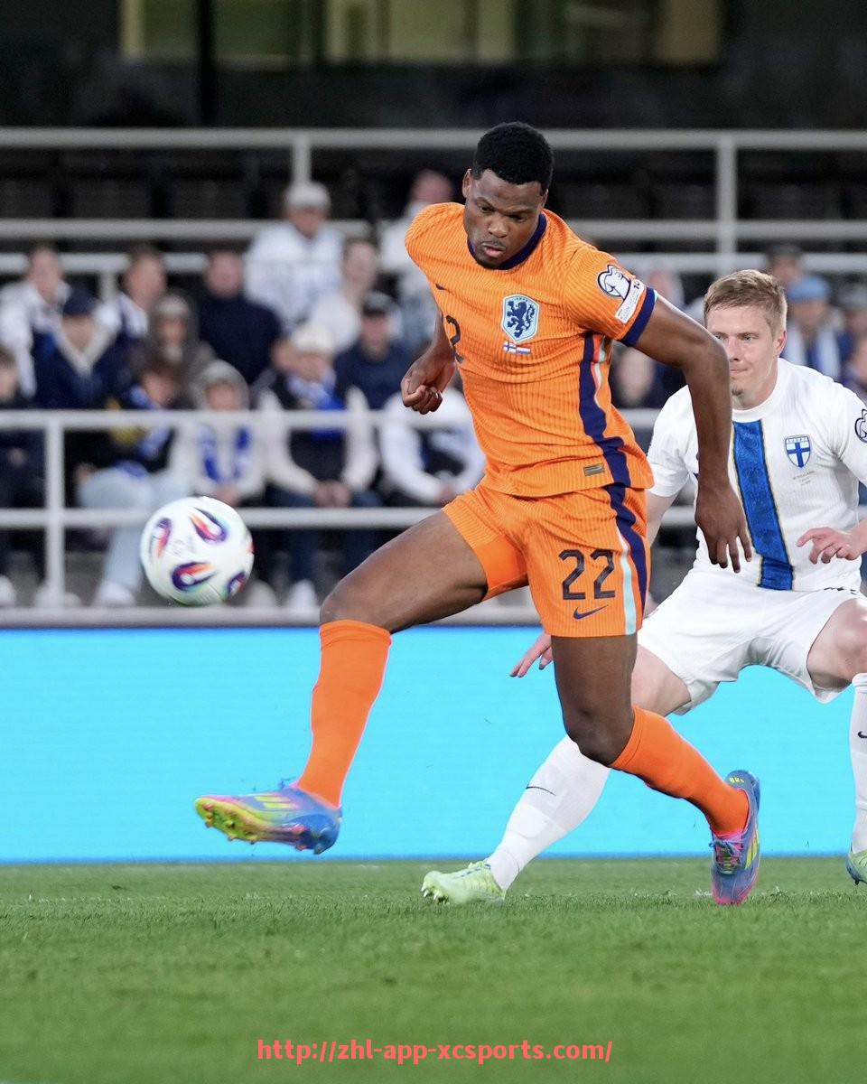 杏彩体育-德甲球队在哪儿？德国主要城市足球俱乐部分布全景分析