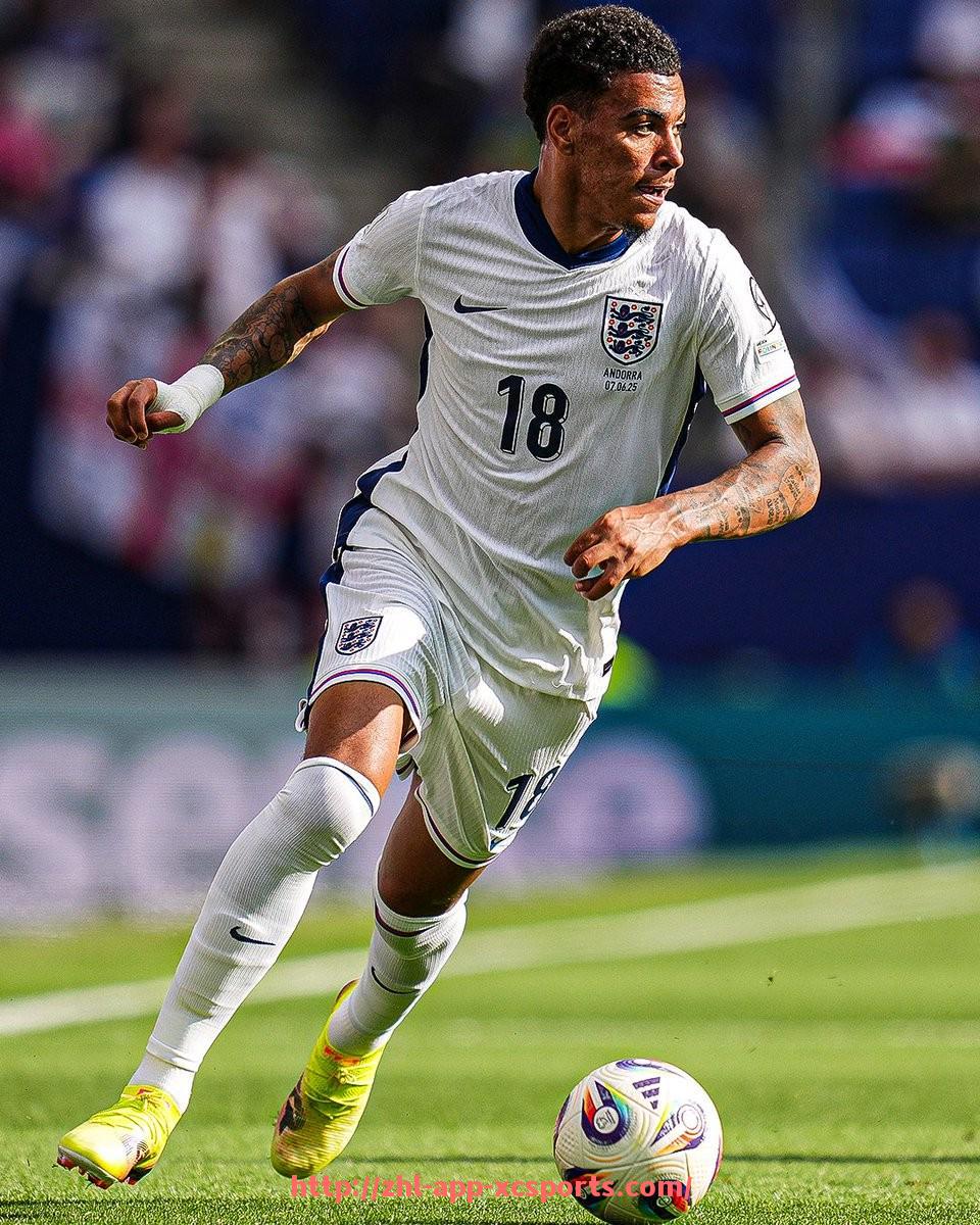 杏彩体育-德甲球队在哪儿？德国主要城市足球俱乐部分布全景分析